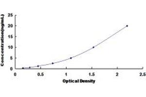 Typical standard curve (GJB1 ELISA 试剂盒)