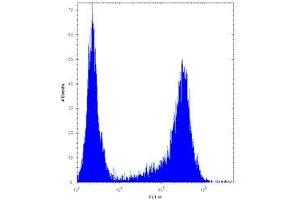HES1 antibody flow cytometric analysis of U251 cells (right histogram) compared to a negative control (left histogram). (HES1 抗体  (AA 9-38))
