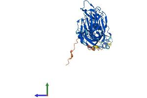 Protein Structure (PS) image for Allantoicase (ALLC) (AA 1-414) protein (His tag) (ABIN7561525)