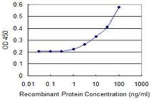 ELISA image for anti-Ras-Related C3 Botulinum Toxin Substrate 2 (Rho Family, Small GTP Binding Protein Rac2) (RAC2) (AA 1-192) antibody (ABIN519594)