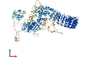 Protein Structure (PS) image for NLR Family, Pyrin Domain Containing 3 (NLRP3) (AA 1-1033) protein (His tag) (ABIN7564709)