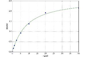 A typical standard curve