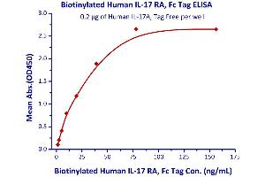 Measured by its binding ability in a functional ELISA. (IL17RA Protein (AA 33-320) (Fc Tag,AVI tag,Biotin))