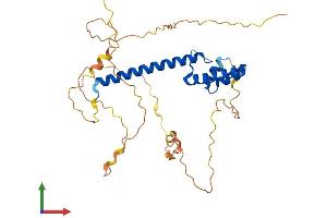 AlphaFold protein structure predicition of Mouse Recombinant Neurod6 Protein, UniprotID P48986