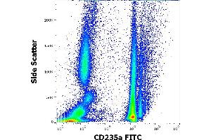 Flow cytometry surface staining pattern of human peripheral whole blood stained using anti-human CD235a (JC159) FITC antibody (4 μL reagent / 100 μL of peripheral whole blood). (CD235a/GYPA 抗体  (FITC))