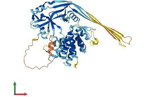 AlphaFold protein structure predicition of Human Recombinant GSDMD Protein, UniprotID P57764