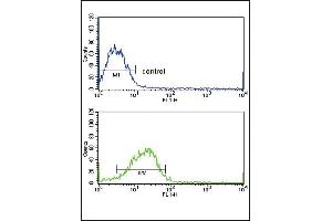 SD4 Antibody (C-term) (ABIN652388 and ABIN2841883) flow cytometric analysis of MCF-7 cells (bottom histogram) compared to a negative control cell (top histogram). (SMAD4 抗体  (C-Term))