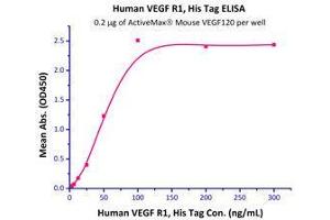 Immobilized  Mouse VEGF120 (Cat# VE0-M4211) at 2 μg/mL (100 μl/well) can bind Human VEGF R1, His Tag (Cat# VE1-H5220) with a linear range of 3-50 ng/mL. (VEGF Protein (AA 27-146))