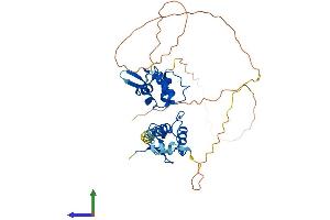 Protein Structure (PS) image for Ring Finger Protein 34 (RNF34) (AA 1-376) protein (His tag) (ABIN7564889)