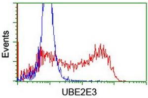 HEK293T cells transfected with either RC210328 overexpress plasmid (Red) or empty vector control plasmid (Blue) were immunostained by anti-UBE2E3 antibody (ABIN2455771), and then analyzed by flow cytometry. (UBE2E3 抗体)
