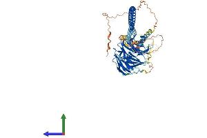 Protein Structure (PS) image for Sperm Associated Antigen 16 (SPAG16) (AA 1-639) protein (His tag) (ABIN7559563)