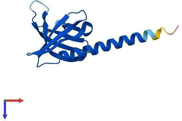 PHLDA3 Protein (AA 1-125) (His tag)