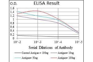 Black line: Control Antigen (100 ng), Purple line: Antigen(10 ng), Blue line: Antigen (50 ng), Red line: Antigen (100 ng), (FAS 抗体)