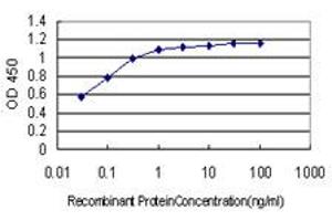 Detection limit for recombinant GST tagged BCL9 is approximately 0.