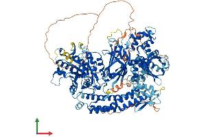 Protein Structure (PS) image for phospholipase C-Like 1 (PLCL1) (AA 1-1095) protein (His tag) (ABIN7554980)