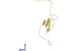 AlphaFold protein structure predicition of Human Recombinant TMEM40 Protein, UniprotID Q8WWA1