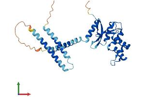 Protein Structure (PS) image for OTU Domain Containing 6B (OTUD6B) (AA 1-294) protein (His tag) (ABIN7559505)