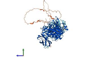Protein Structure (PS) image for Transglutaminase 1, Keratinocyte (TGM1) (AA 1-815) protein (His tag) (ABIN7565114)