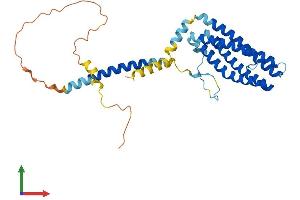 Protein Structure (PS) image for Secretory Carrier Membrane Protein 2 (SCAMP2) (AA 1-329) protein (His tag) (ABIN7561442)