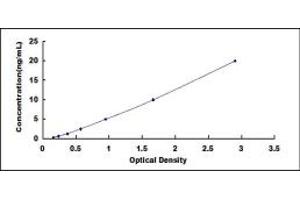 Typical standard curve (GPRC5A ELISA 试剂盒)