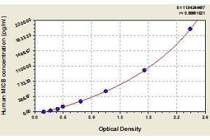 Typical standard curve (MICB ELISA 试剂盒)