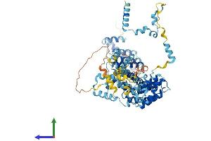AlphaFold protein structure predicition of Mouse Recombinant Sdad1 Protein, UniprotID Q80UZ2 (SDAD1 Protein (AA 1-687) (His tag))