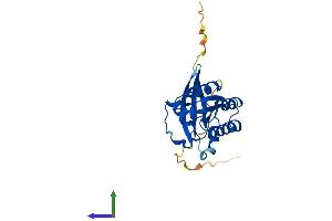 Protein Structure (PS) image for RAB5A, Member RAS Oncogene Family (RAB5A) (AA 1-215) protein (His tag) (ABIN7560532)