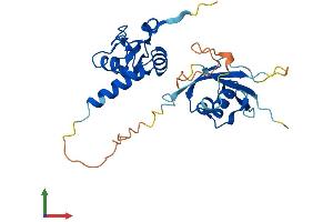 Protein Structure (PS) image for Polycomb Group Ring Finger 5 (PCGF5) (AA 1-256) protein (His tag) (ABIN7550649)