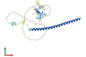 Protein Structure (PS) image for THAP Domain Containing 7 (THAP7) (AA 1-309) protein (His tag) (ABIN7544251)