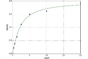 A typical standard curve (GJB2 ELISA 试剂盒)
