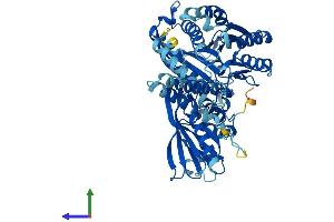 Protein Structure (PS) image for SAC1 Suppressor of Actin Mutations 1-Like (SACM1L) (AA 1-587) protein (His tag) (ABIN7561374)