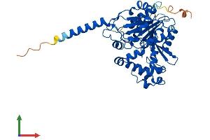 AlphaFold protein structure predicition of Human Recombinant ABHD1 Protein, UniprotID Q96SE0