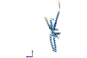Protein Structure (PS) image for Potassium Intermediate/small Conductance Calcium-Activated Channel, Subfamily N, Member 4 (KCNN4) (AA 1-427) protein (His tag) (ABIN7554251)