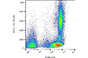 Flow cytometry analysis (surface staining) of human peripheral blood cells with anti-CD46 (MEM-258) APC.