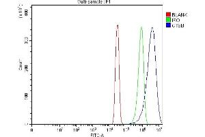 Flow Cytometry analysis of SiHa cells using anti-Cathepsin B/CTSB antibody (ABIN7601692).