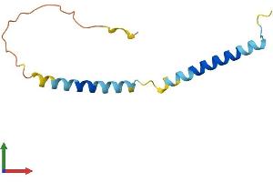 Protein Structure (PS) image for WW Domain Binding Protein 5 (WBP5) (AA 1-104) protein (His tag) (ABIN7561371)
