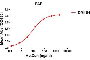 ELISA plate pre-coated by 1 μg/mL (100 μL/well) Human FAP protein, His tagged protein (ABIN7092782) can bind Rabbit anti-FAP monoclonal antibody(clone: DM154) in a linear range of 1-500 ng/mL. (FAP 抗体  (AA 30-760))