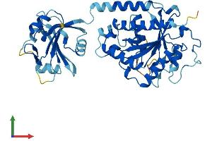 Protein Structure (PS) image for Interferon-Induced Protein 44 (IFI44) (AA 1-422) protein (His tag) (ABIN7558914)