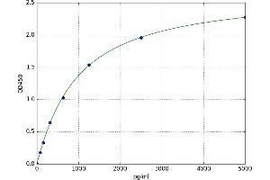 Dimethylglycine Dehydrogenase (DMGDH) ELISA Kit