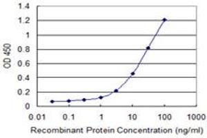 Detection limit for recombinant GST tagged IFNA13 is 0. (IFNA13 抗体  (AA 91-189))