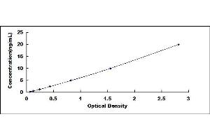 Typical standard curve (TMEM106B ELISA 试剂盒)