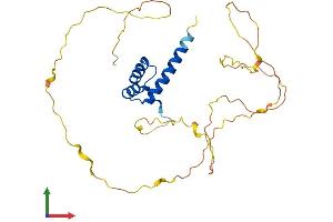 Protein Structure (PS) image for Homeobox B13 (HOXB13) (AA 1-286) protein (His tag) (ABIN7556693)