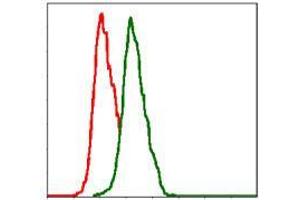 Flow cytometric analysis of Hela cells using ITGB1 mouse mAb (green) and negative control (red). (ITGB1 抗体)
