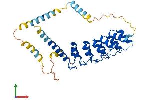 AlphaFold protein structure predicition of Mouse Recombinant Ankrd1 Protein, UniprotID Q9CR42