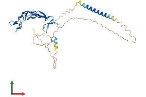 Protein Structure (PS) image for Ectodysplasin A2 Receptor (EDA2R) (AA 1-297) protein (His tag) (ABIN7544728)
