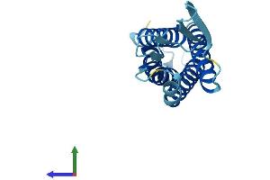 Protein Structure (PS) image for Epithelial Membrane Protein 3 (EMP3) (AA 1-163) protein (His tag) (ABIN7562386)