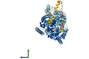 Protein Structure (PS) image for Solute Carrier Family 5 (Sodium/glucose Cotransporter), Member 2 (SLC5A2) (AA 1-672) protein (His tag) (ABIN7555392)
