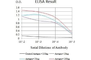 Black line: Control Antigen (100 ng),Purple line: Antigen (10 ng), Blue line: Antigen (50 ng), Red line:Antigen (100 ng) (FCRL3 抗体  (AA 18-153))