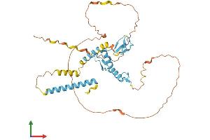 Protein Structure (PS) image for Zinc Finger Protein 367 (ZNF367) (AA 1-350) protein (His tag) (ABIN7545267)