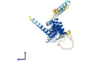 AlphaFold protein structure predicition of Mouse Recombinant Ankrd1 Protein, UniprotID Q9CR42